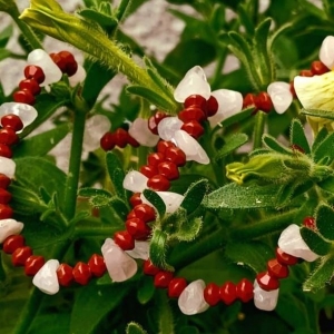 Narukvica od kristala
